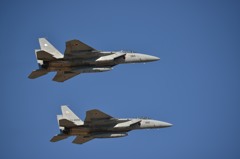 F15