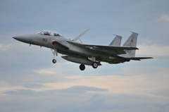 F15