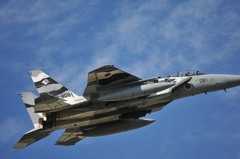 F15