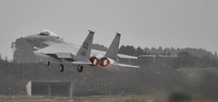 F15