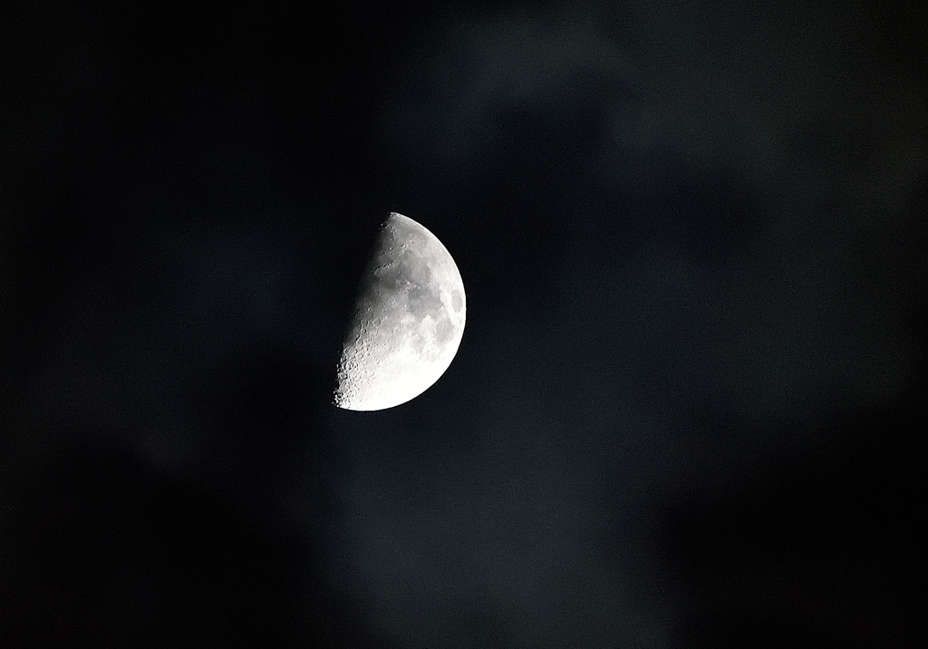 DSC_0020