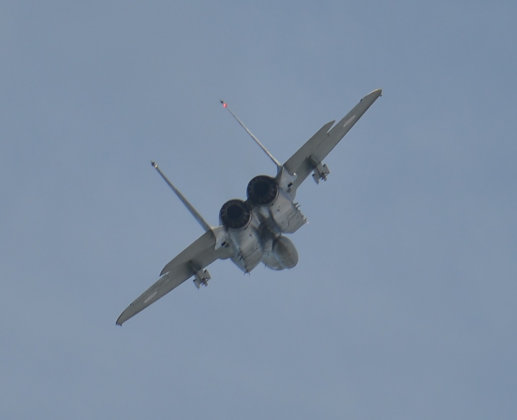 DSC_5881