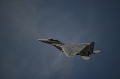 F15