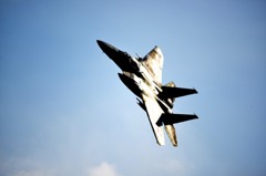 F15