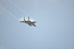 DSC_7282