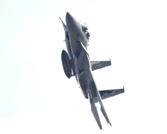 F15