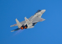 F15