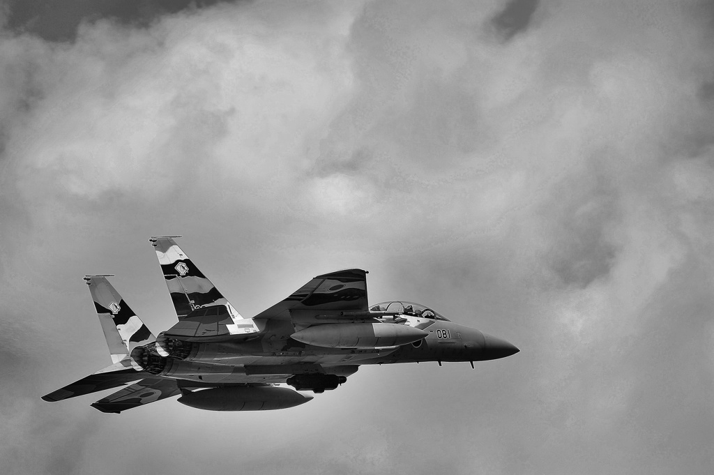 F15