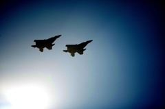 F15