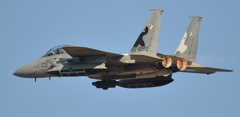 F15