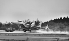 F15