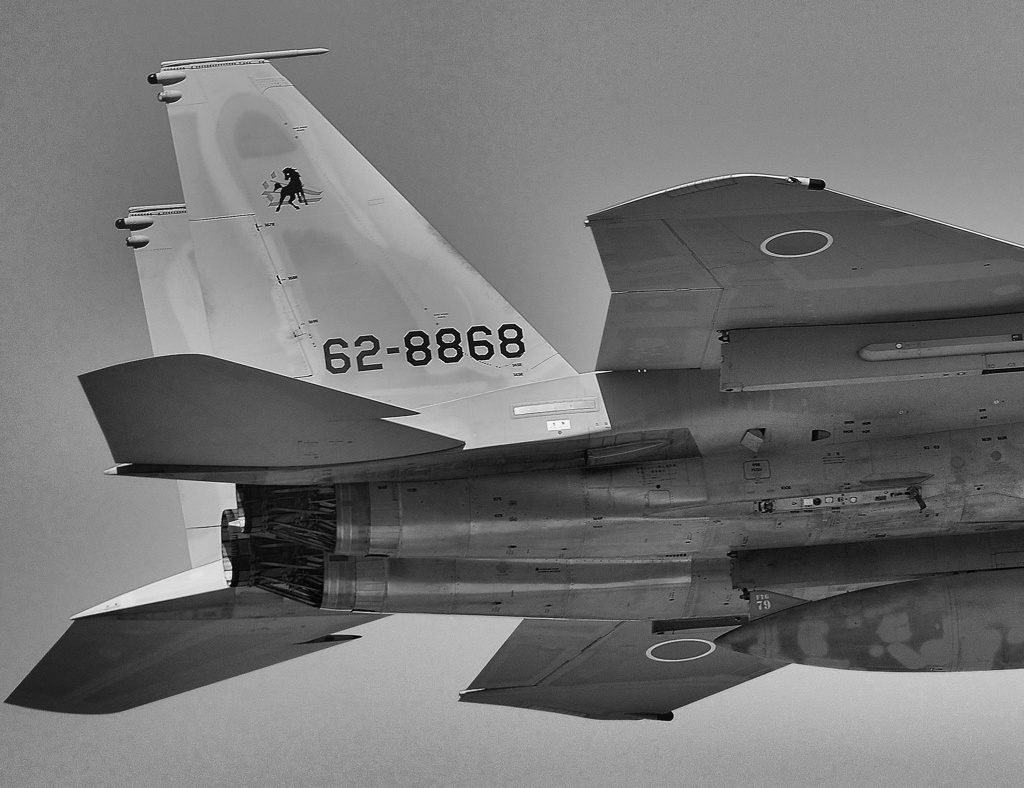 F15