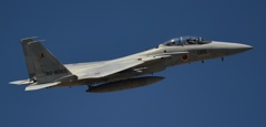 F15