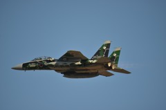F15