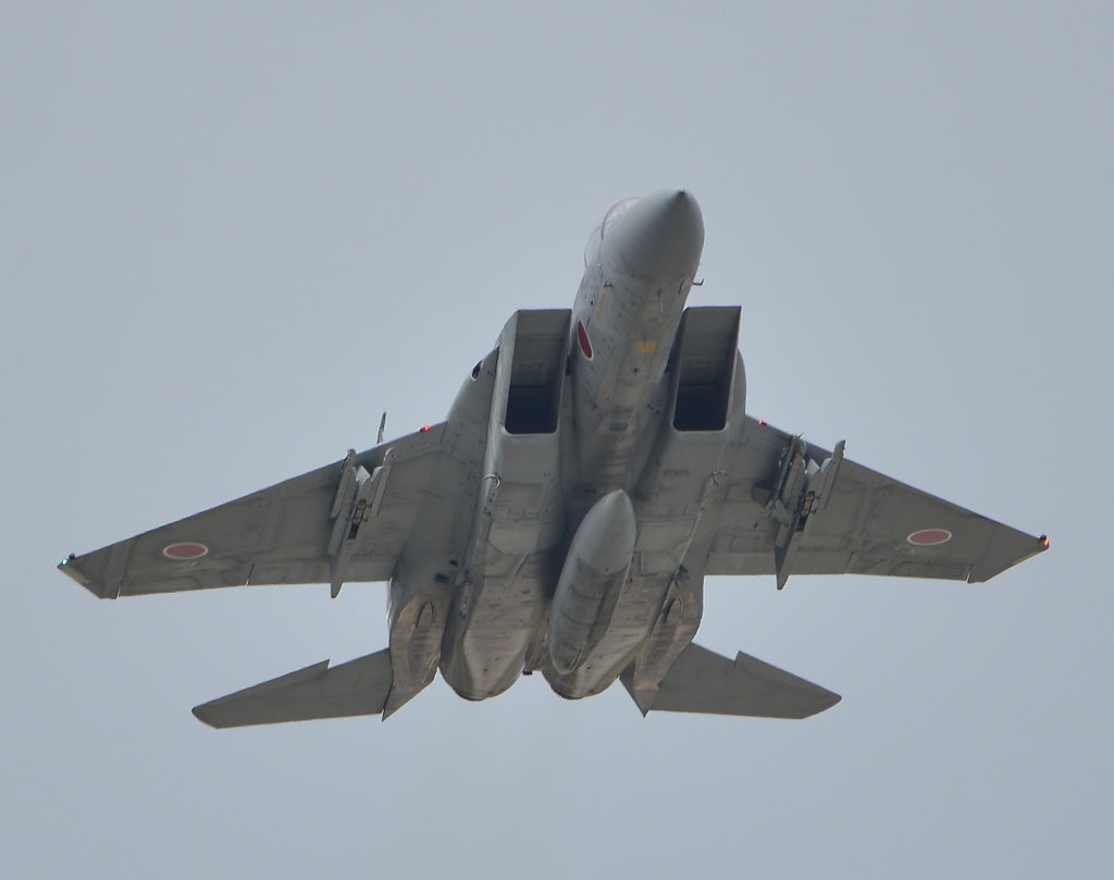 F15