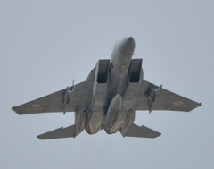 F15