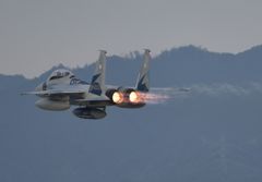F15
