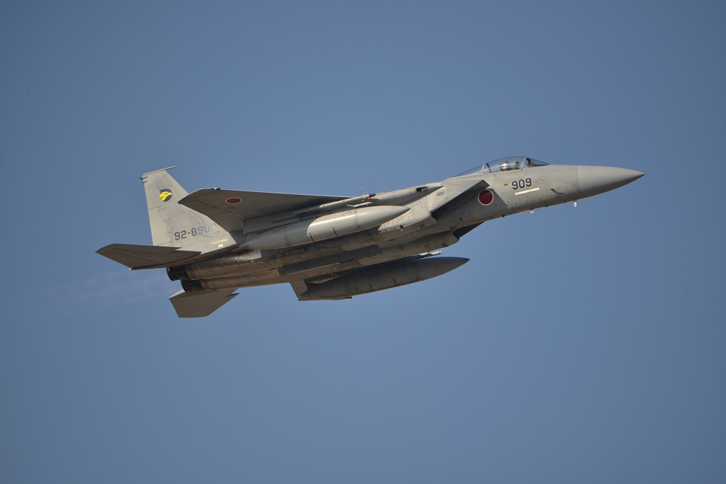 F15