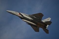 F15