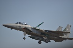 F15