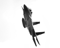 F15
