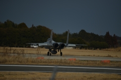 F15