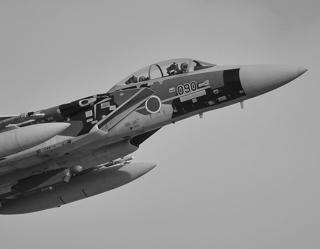 F15