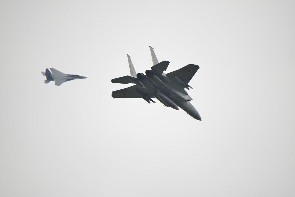 F15