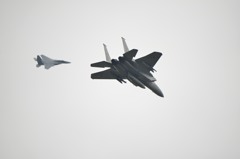 F15