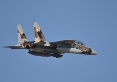 F15