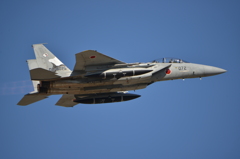 F15