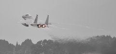 F15