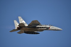 F15