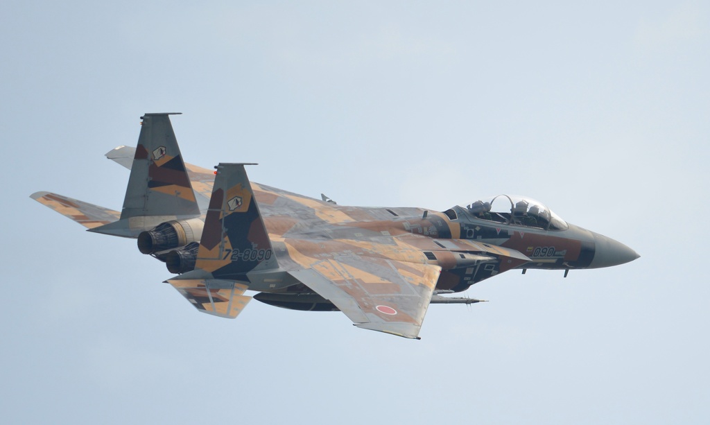 F15