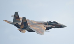 F15