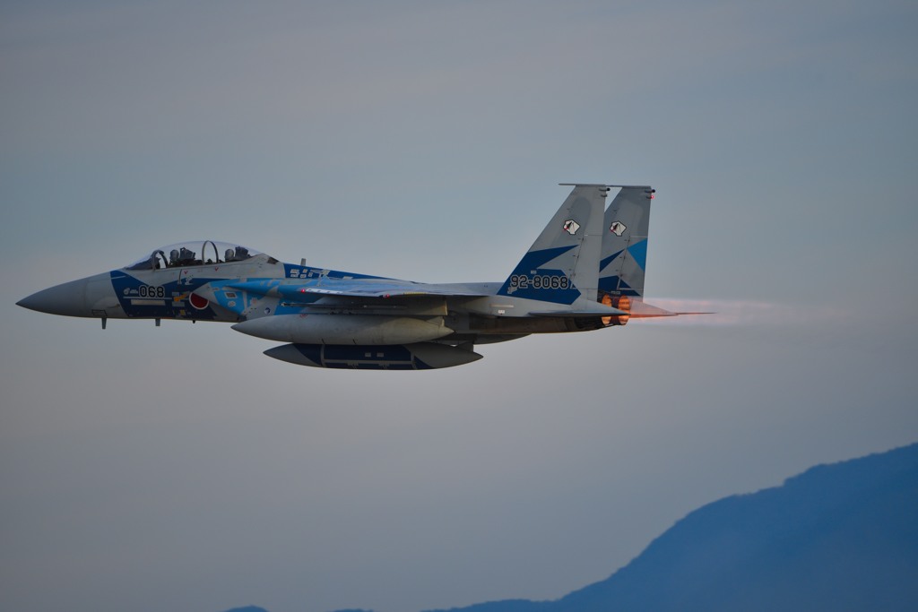 F15