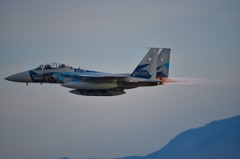 F15