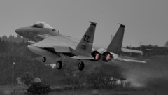 F15
