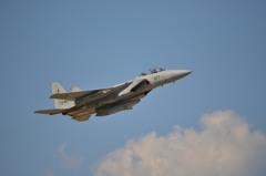 F15