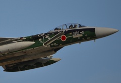 F15