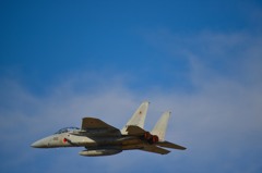F15