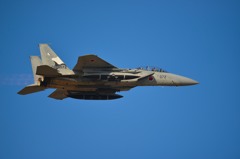 F15