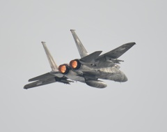 F15