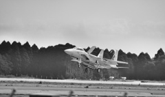 F15