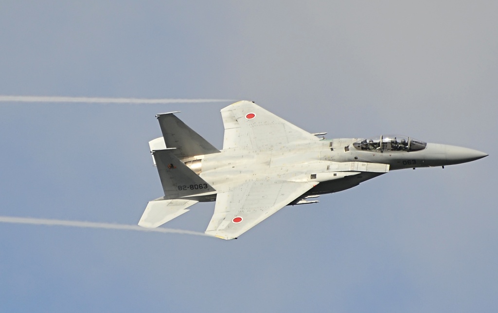 F15