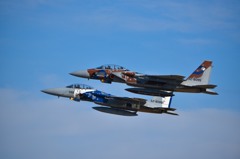 F15