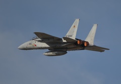F15
