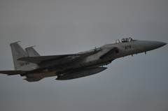 F15