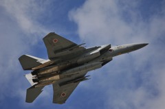 F15
