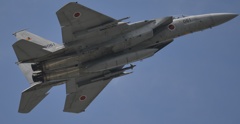 F15